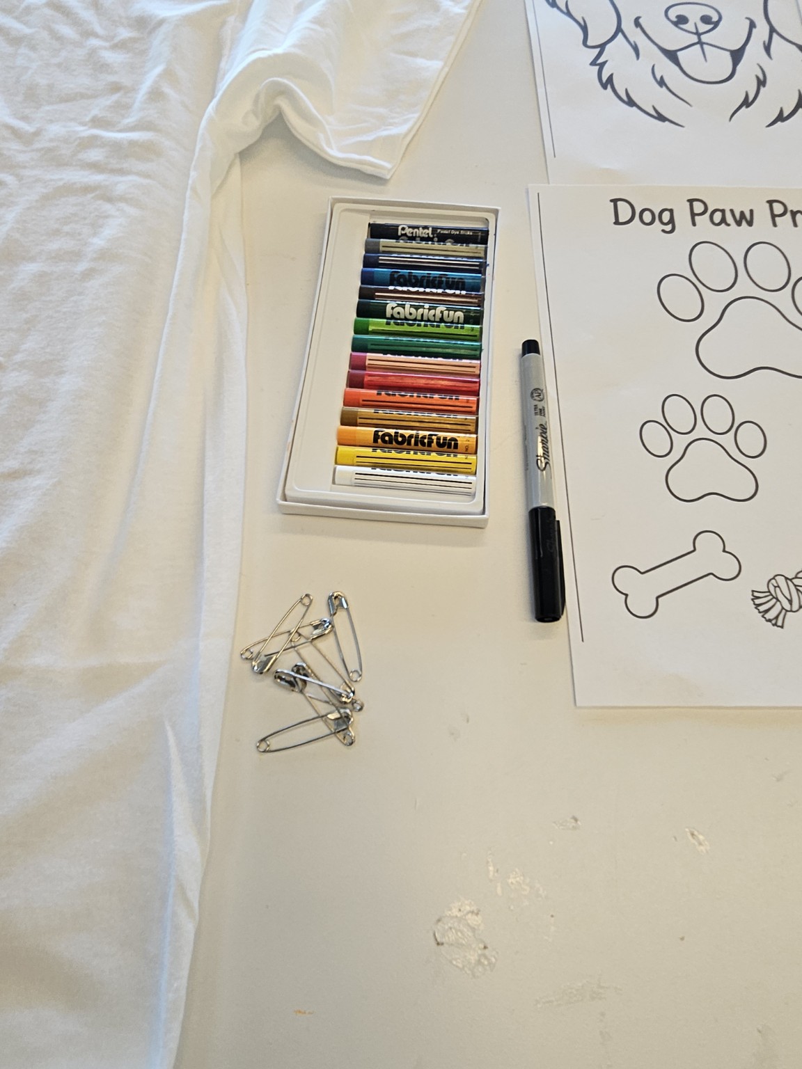 Tools and inspiration for a pet portrait T-shirt.