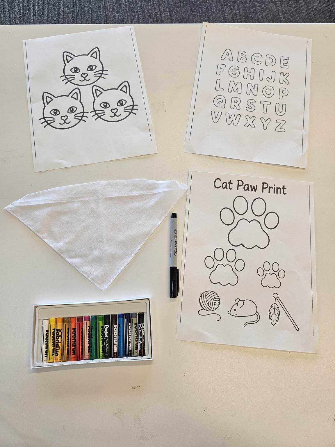 Materials for a personalized pet bandana.